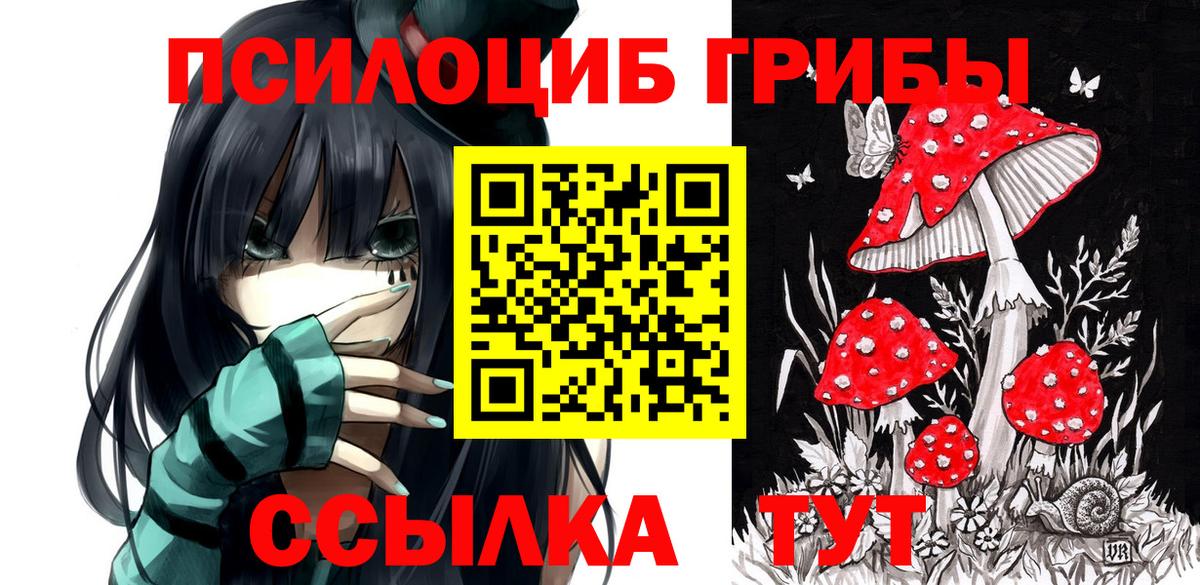 Галлюциногенные грибы Magic Shrooms Протвино