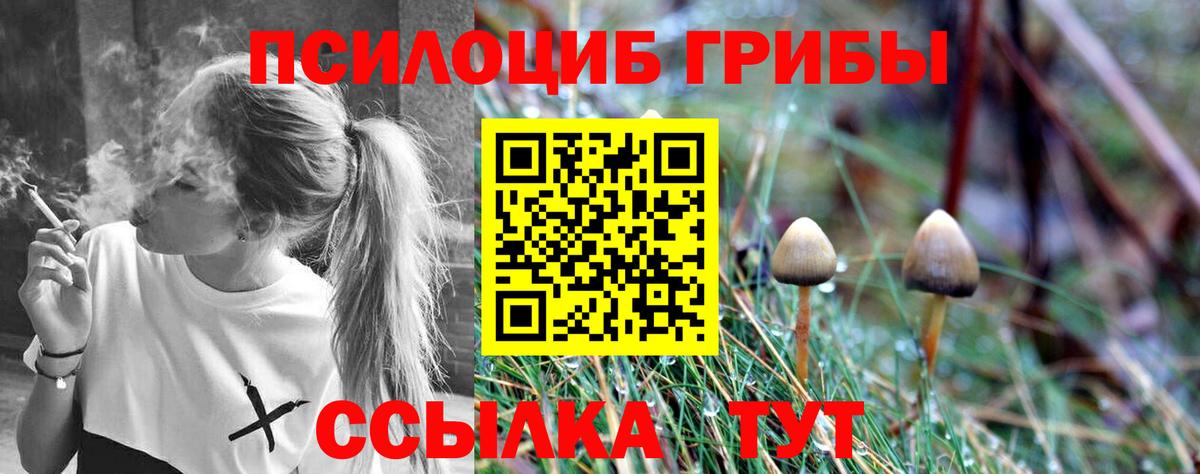 Псилоцибиновые грибы Magic Shrooms  Псилоцибиновые грибы Magic Shrooms  Протвино  Вход с VPN 